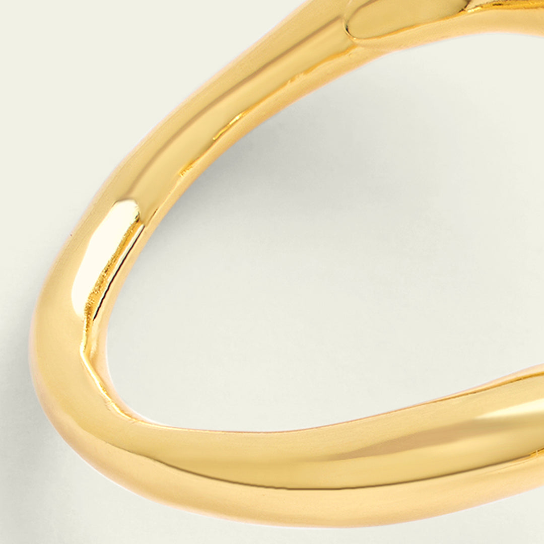Gold Dolphin Hoops 