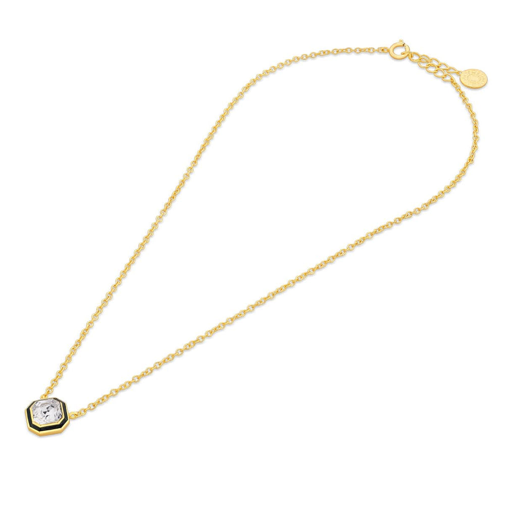 Optic Chain Link Long Necklace