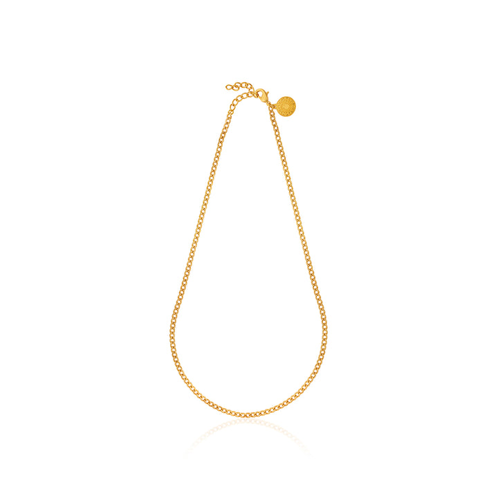 Gilded Slim Link Necklace