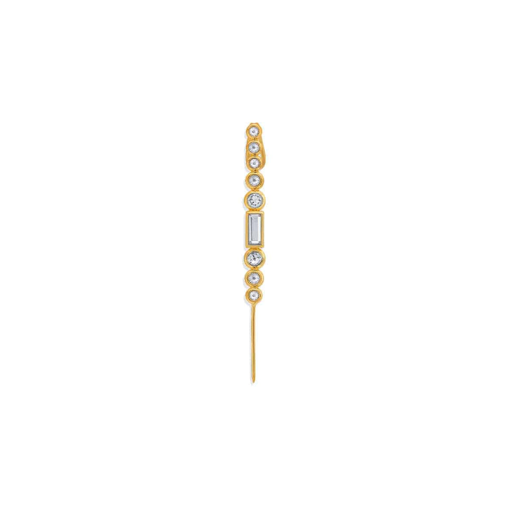 Fierce Ear Pin